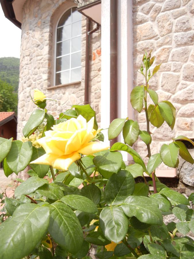 Villa Laurea Lovran Εξωτερικό φωτογραφία
