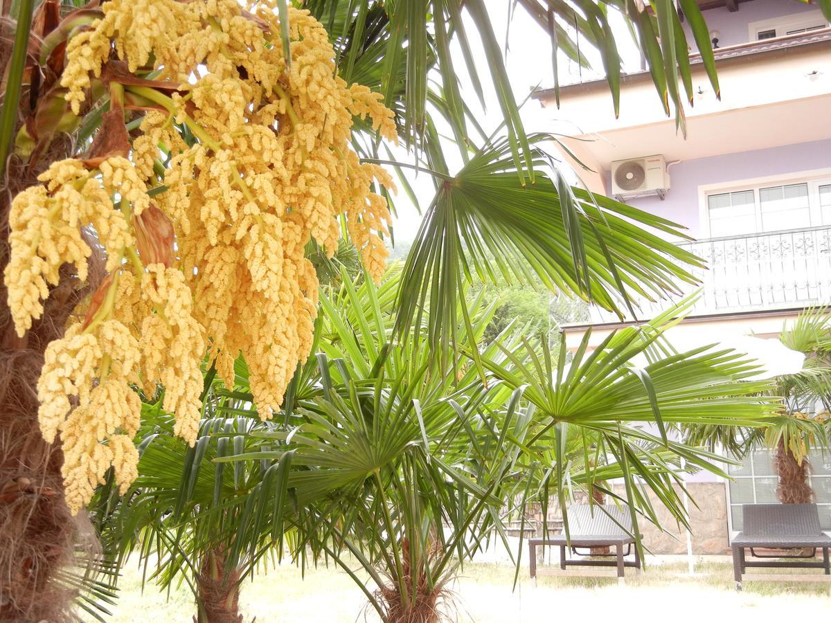 Villa Laurea Lovran Εξωτερικό φωτογραφία